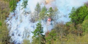На Камчатке лесной пожар подбирается к заповеднику
