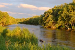 Заказнику &laquo;Река Коль&raquo; на Камчатке добавили территории