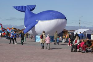 В столице Камчатки прошел экофестиваль &laquo;Море жизни&raquo;