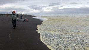 &laquo;Полоса смерти&raquo; на Камчатке дотянулась до &laquo;Трех вулканов&raquo;