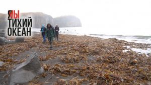 Код &laquo;Красный&raquo;: ученые ДВФУ завершили исследования на Камчатке