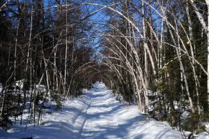 Экологические маршруты Кроноцкого заповедника признаны лучшими в России