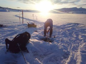 Живые эмбрионы из горных озер Камчатки полетят в Москву