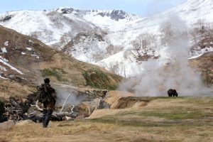 В камчатских заповедниках объявлен режим тишины