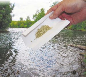 Позолоти речку: ручей Тёмный на Камчатке превращают в золотой