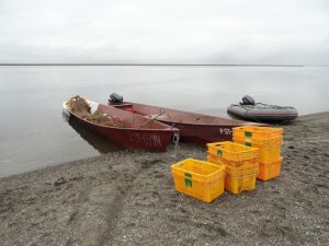 До старта путины-2021 на Камчатке остаются считанные недели