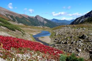 На Камчатке добыча россыпного золота вызывает наибольшие опасения