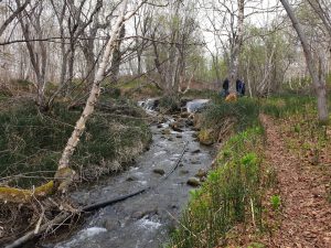 На Камчатке эксперты осмотрели загрязненные ручьи