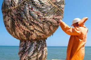 Сегодня на Камчатке стартует лососевая путина