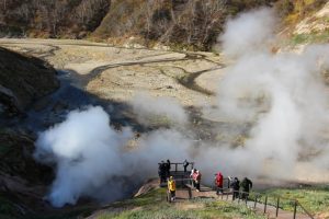 Опрос: не все камчатцы одобряют увеличение турпотока в Долину гейзеров