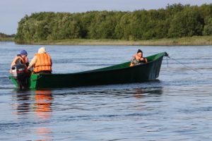 Лососи в реки запада Камчатки идут в этом году позже обычного