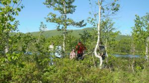На территории будущего экопарка обнаружено более 40 видов птиц