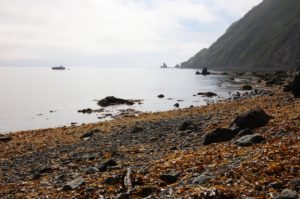 Обследование Авачинского залива внушает оптимизм