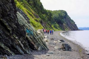 Жителей Камчатки приглашают стать экологическими инспекторами