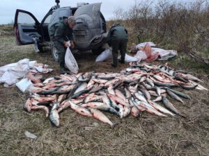 На Камчатке усилят надзор за оборотом рыбопродукции