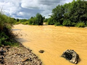Местные реки, загрязненные отходами золотодобычи, теряют рыбу