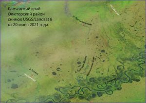 Росприроднадзор подтвердил загрязнение реки на Камчатке