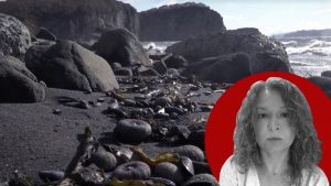 Фильм об экологической катастрофе на Камчатке получил премию