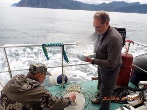 На Камчатке не исключены новые &laquo;красные приливы&raquo;