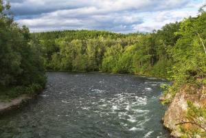 Для нерестовых рек Камчатки введут мораторий на добычу золота