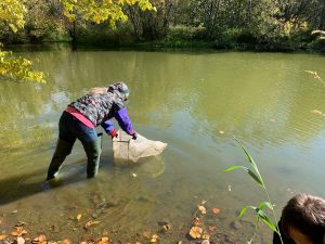 На Камчатке выясняют, что отравило реку Халактырку