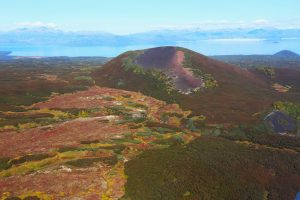 В Корякском заповеднике впервые проведут перепись лесов