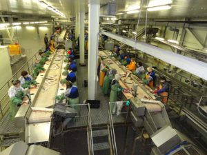 Туристов зовут посмотреть на работу рыбаков Камчатки