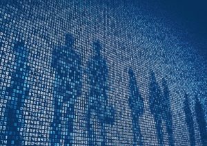 Новые цифровые решения встанут на защиту природы Камчатки