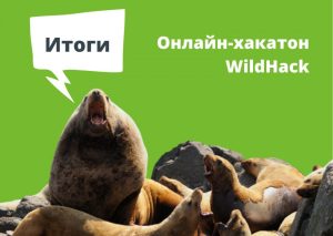 Считать рыб и определять животных будет искусственный интеллект