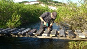 Кроноцкий заповедник открывает набор волонтеров на сезон-2022