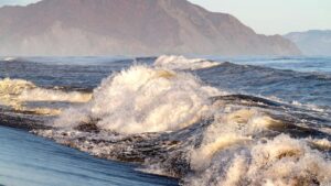 Повторение &laquo;красных приливов&raquo; на Камчатке неизбежно