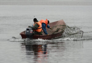 Росрыболовство намерено заняться бригадами псевдо-КМНС