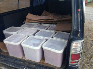 На Камчатке снизился оборот браконьерского улова