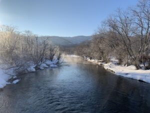 Ученые подтвердили сильное загрязнение реки Халактырки в Петропавловске