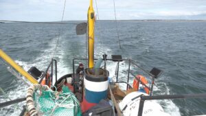 Минтаевая охотоморская путина стартовала на Камчатке