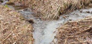 165 обращений и 156 рейдов: Минприроды Камчатки подвело итоги года