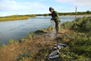 Закон об общинах КМНС будет изменён