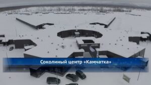 Рядом с селом Мильково на Камчатке планируют создать туристический хаб