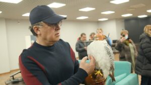 В соколином центре &laquo;Камчатка&raquo; готовятся к выводу птенцов