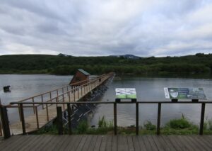 Комплексные исследования экосистемы Курильского озера продолжаются