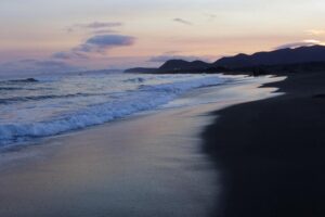 За экологические нарушения на Халактырском пляже выписан штраф