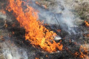 Глава лесхоза: Камчатка готова к пожароопасному сезону