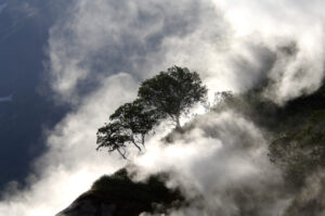 Гидрогеологи учатся прогнозировать ЧС в Долине гейзеров