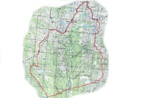 На юге Камчатки создан новый природный заказник