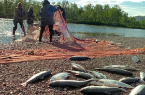 Депутаты обещают не лишать КМНС квот на традиционную рыбалку