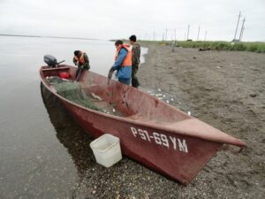 Рыба в малом масштабе: Камчатка готова показать пример