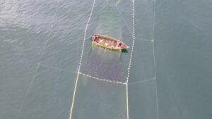 На Камчатке тестируют беспилотники для мониторинга лососей