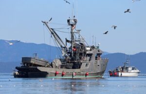 Камчатские рыбаки выступают против законопроекта о втором этапе инвестквот