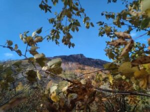 Природоохранный режим введут на камчатской горе Бабий Камень