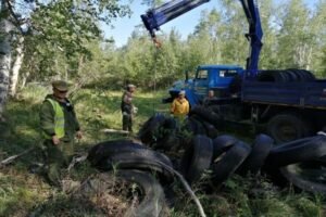 На Камчатке ищут и ликвидируют несанкционированные свалки
